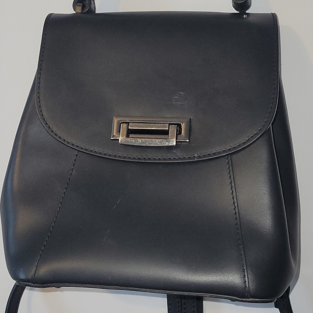 Cielo Celeste Convertible Backpack Or Handbag - image 2